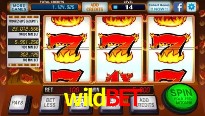 Descubra o Mundo do Cassino Online com wildbet
