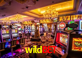 wildbet Rio de Janeiro - Bonus Terms