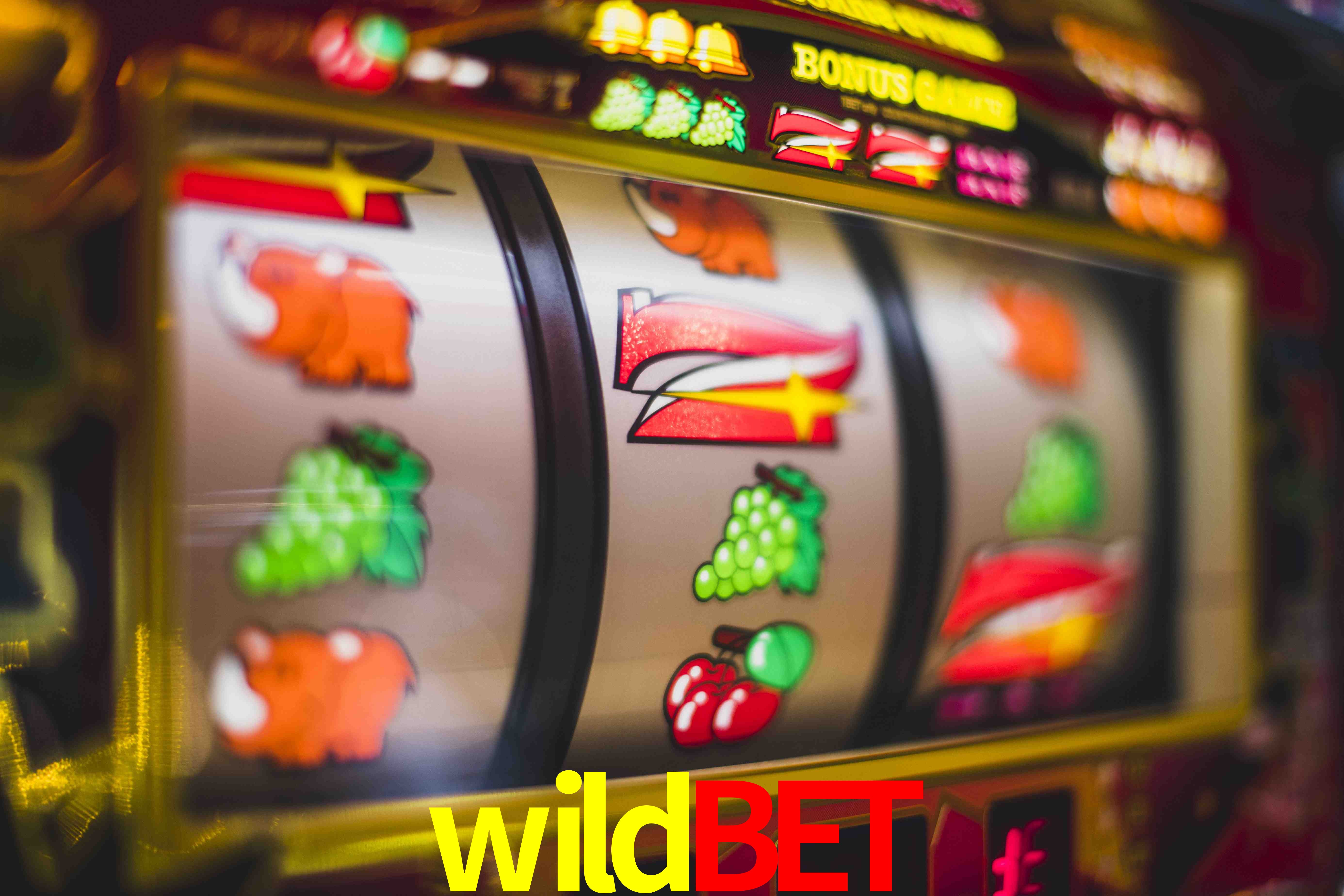 Statistics wildbet