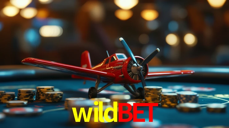 2FA Security wildbet