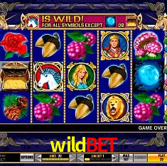 wildbet Bônus - Pacote R$5.000 + VIP
