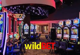 wildbet Brasília - Leaderboards