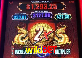 wildbet Cassino - 80+ Mesas ao Vivo