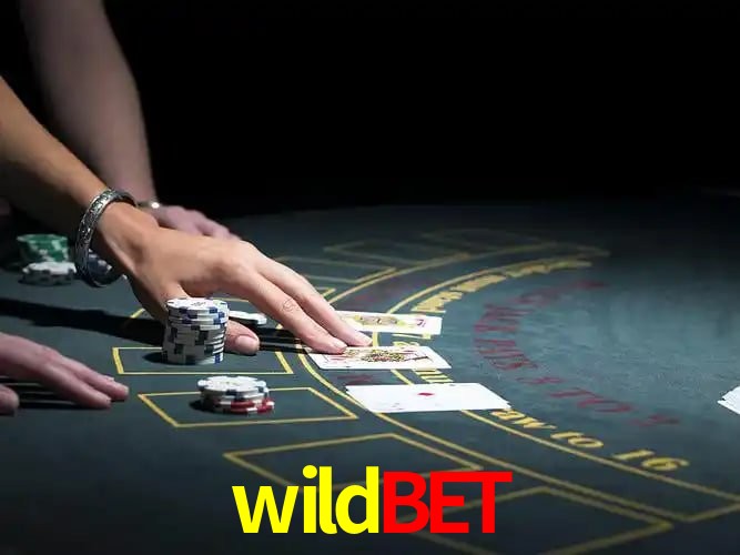 wildbet Curitiba - Statistics