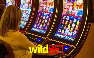 wildbet Salvador - Studio Tour