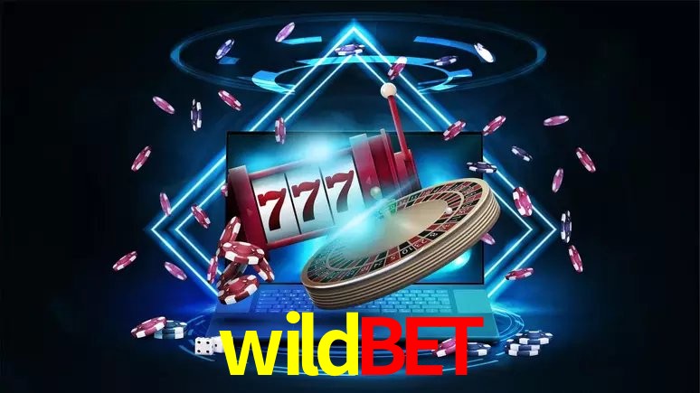 wildbet Salvador - Statistics